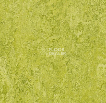Линолеум Forbo Marmoleum Marbled Real 3224 / 322435 Chartreuse фото 1 | FLOORDEALER